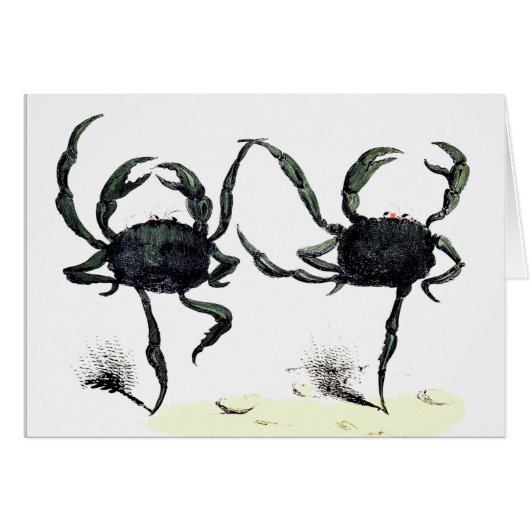 Crab tango danst schattige  zomerkrabben (Voorkant Horizontaal)