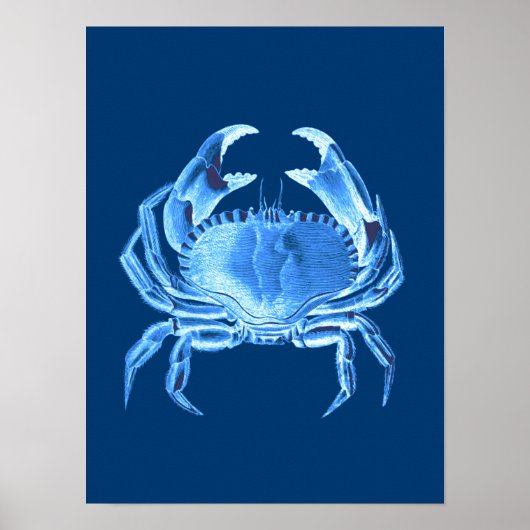 Crab Zee Life Print, Indigo Blue en White Poster (Voorkant)