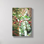 Crabappels Canvas Afdruk (Voorkant)