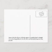 Crabapple Beauty Briefkaart (Achterkant)