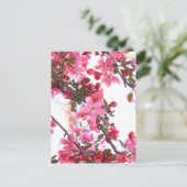 Crabapple Beauty Briefkaart (Staand voorkant)