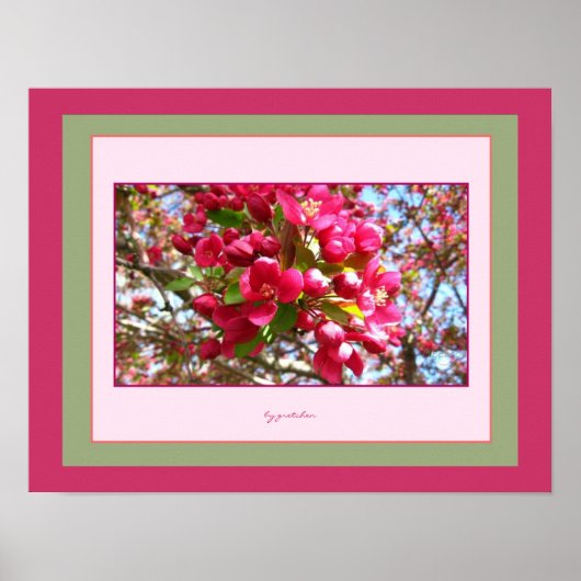 Crabapple Blossom 2 Foto van gretchen Poster (Voorkant)