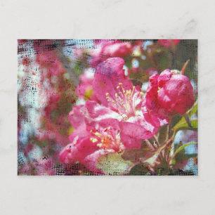 Crabapple Blossom Briefkaart