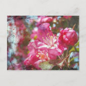 Crabapple Blossom Briefkaart (Voorkant)