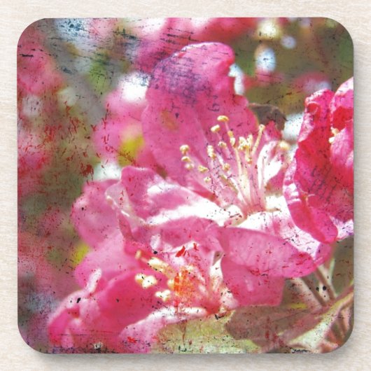 Crabapple Blossom Drankjes Onderzetter (Voorkant)