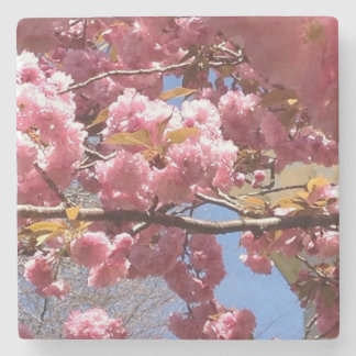 Crabapple Blossom in Spring - Roze & Witte Tak Stenen Onderzetter