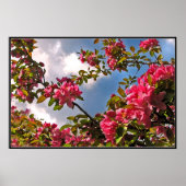 Crabapple Blossom Poster (Voorkant)