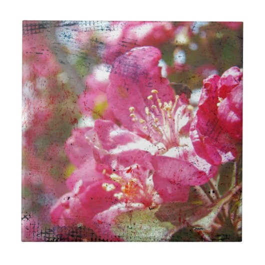 Crabapple Blossom Tegeltje (Voorkant)