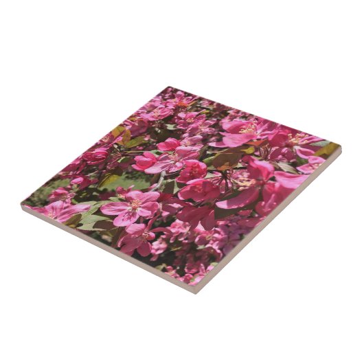 Crabapple Blossom Tegeltje (Zijkant)