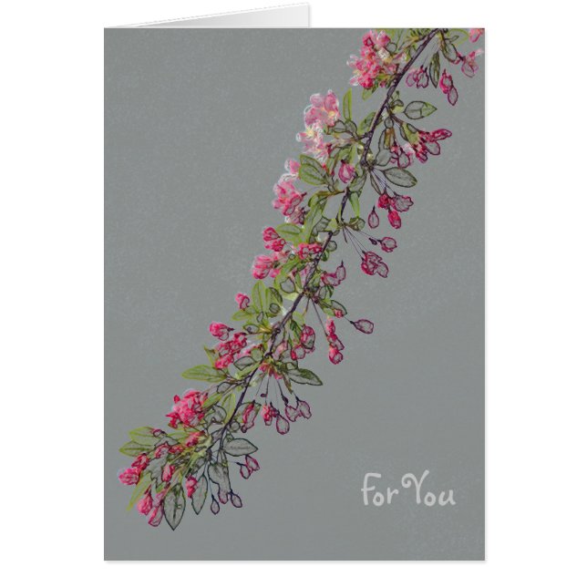 Crabapple Blossom uit Central Park (Voorkant)