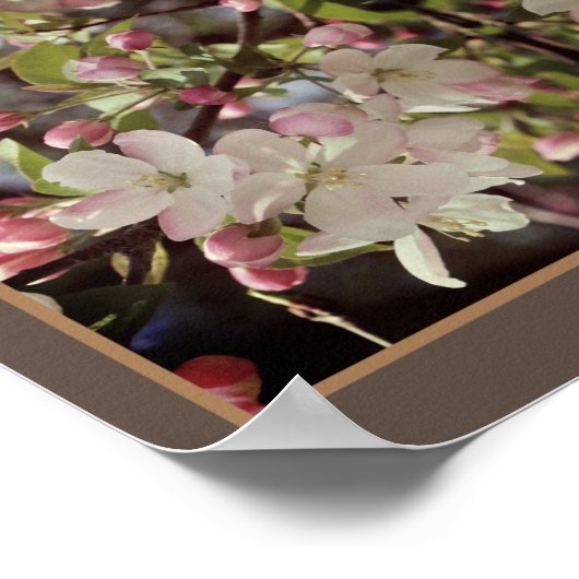 Crabapple Blossoms Abstract Poster (Hoek)