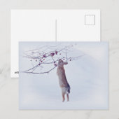 Crabapple Bunny - Rabbit Briefkaart (Voorkant / Achterkant)