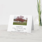 Crabapple Feestdagen Kaart (Achterkant)