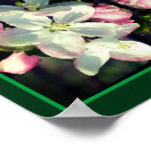 Crabapple Spring Flower Abstract Poster (Hoek)