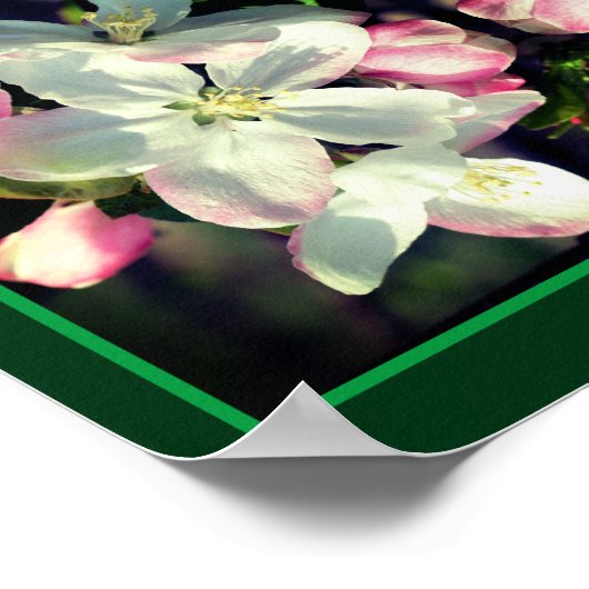  Crabapple Spring Flower Abstract Poster (Hoek)