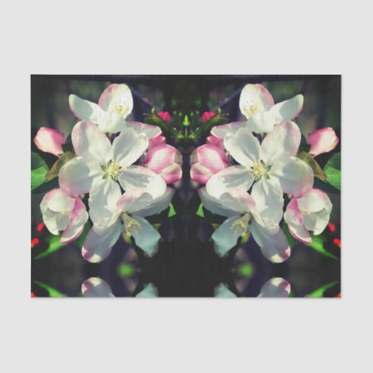 Crabapple Spring Flower Blossom Decoupage Tissuepapier (Voorkant)