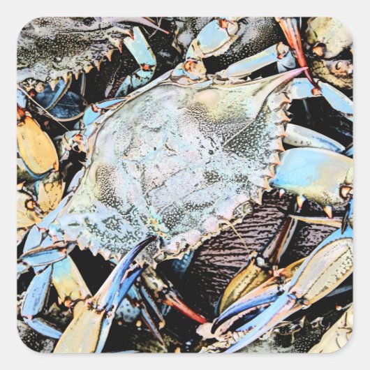 Crabby Blue Crab Square Sticker (Voorkant)