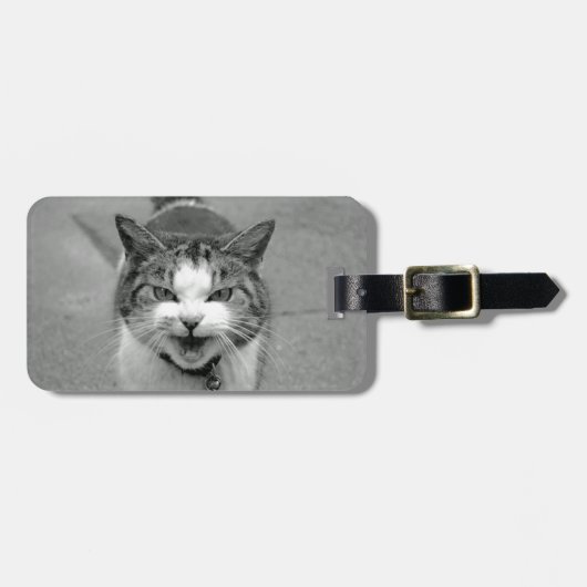 Crabby Cat Bagagelabel (Voorkant horizontaal)