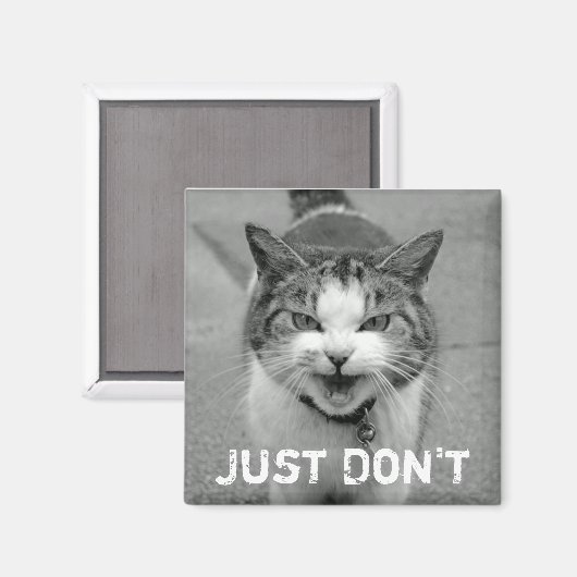 Crabby Cat Magnet (Voorkant / Achterkant)