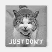 Crabby Cat Magnet (Voorkant)