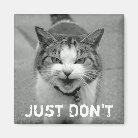 Crabby Cat Magnet (Voorkant)
