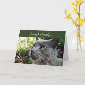 Crabby Cat met Funny Expression Note Kaart (Gele Bloem)