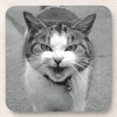 Crabby Cat Onderzetters (Voorkant)