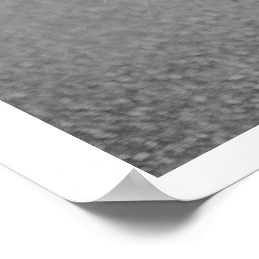 Crabby Cat Poster (Hoek)