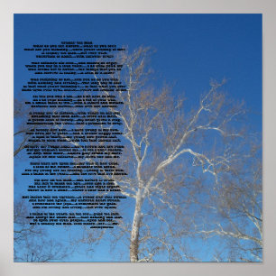 Crabby Old ManWat zie je er nur... Gepersonaliseer Poster