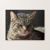 Crabby Tabby Cat Legpuzzel (Horizontaal)