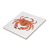 Crabs Ocean Coastal Tegeltje (Zijkant)