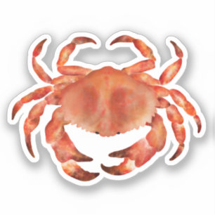 Crabs Seaside Nautifcal Coastal Sticker