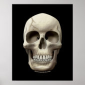 Cracked Skull Poster (Voorkant)
