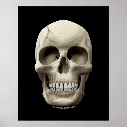 Cracked Skull Poster (Voorkant)