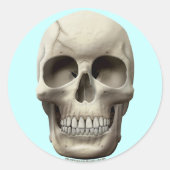 Cracked Skull Ronde Sticker (Voorkant)