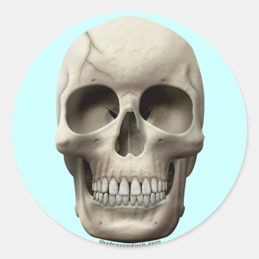 Cracked Skull Ronde Sticker (Voorkant)
