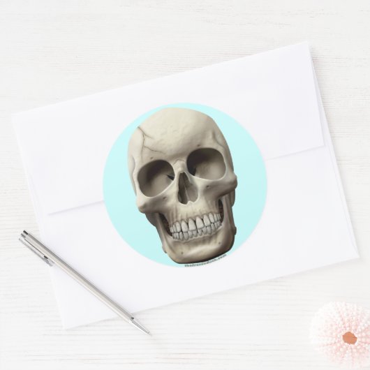 Cracked Skull Ronde Sticker (Envelop)