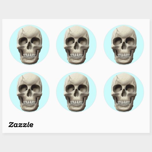 Cracked Skull Ronde Sticker (Vel)