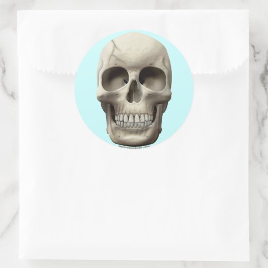 Cracked Skull Ronde Sticker (Tas)