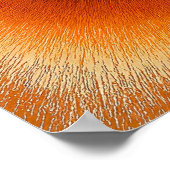 Crackle Bloom Poster (Hoek)