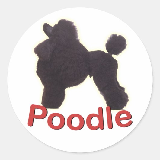 Cradle Black Poodle Sticker (Voorkant)