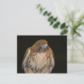 Crafty Hawk Briefkaart (Staand voorkant)