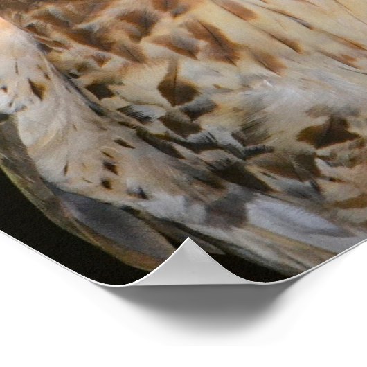 Crafty Hawk Poster (Hoek)