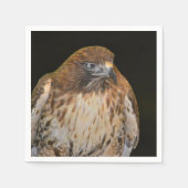 Crafty Hawk Servet (Voorkant)