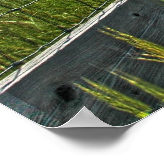 Crag Eyrie Cattle Shoot Poster (Hoek)