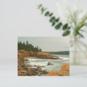 Craggy Coast, Acadia National Park, Maine Briefkaart (Staand voorkant)