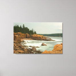 Craggy Coast, Acadia National Park, Maine Canvas Afdruk