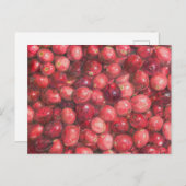 Cranberries Still Life Briefkaart (Voorkant / Achterkant)