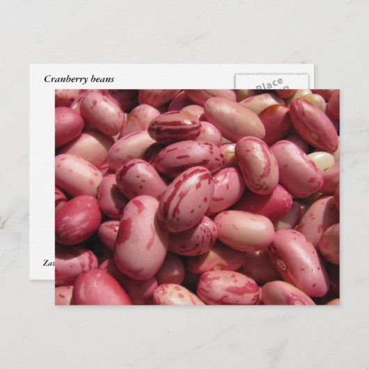 Cranberry Bans Briefkaart (Voorkant / Achterkant)