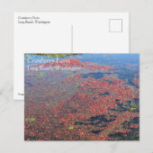 Cranberry Boerderij, Long Beach, Washington Briefkaart (Voorkant / Achterkant)